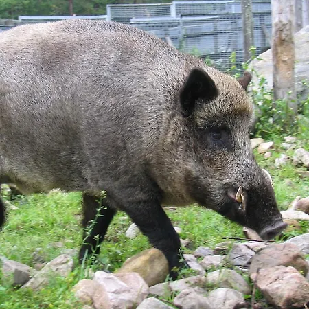 Ranuanjaervi Leirintäalueet Ranua
