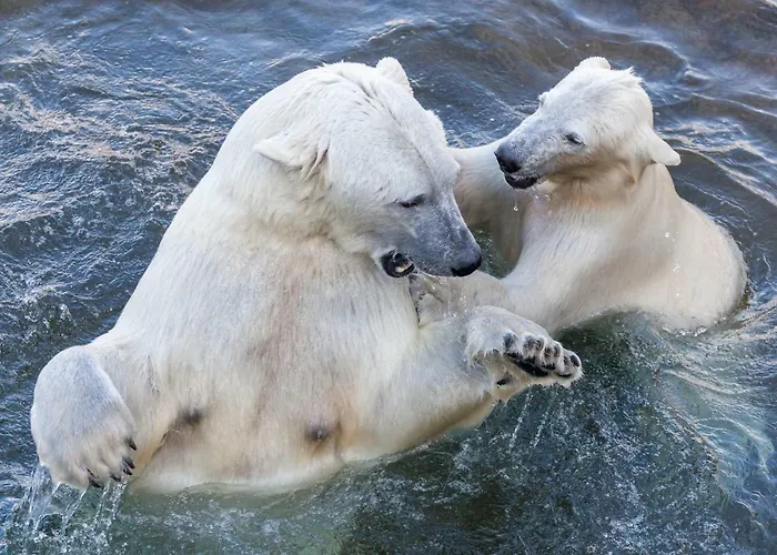 Ranuanjaervi 拉努阿